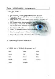 English worksheet: The human body