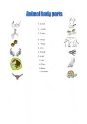 English worksheet: animal body parts