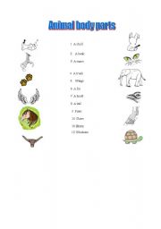 English Worksheet: animal body parts