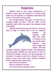 English Worksheet: dolphins 
