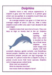 dolphins 