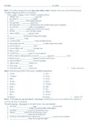 English worksheet: test 