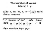 English Worksheet: The Number of Nouns