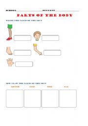 English worksheet: parts of the body