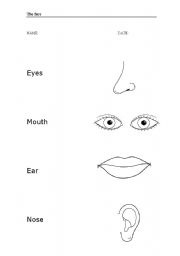 English worksheet: The face