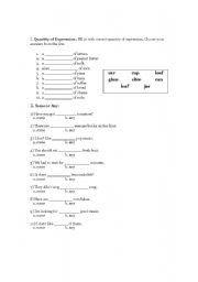 English Worksheet: Quantity Expression