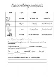 English Worksheet: Describing animals