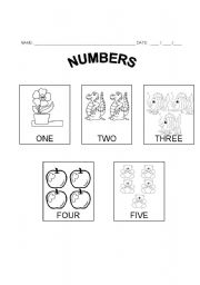 Numbers