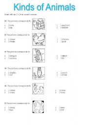 English worksheet: Kinds of Animals