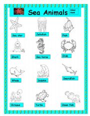 English Worksheet: Sea Animals 