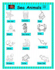 Sea Animals 