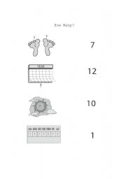 English Worksheet: How Many?