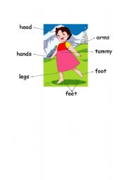 English Worksheet: Body parts