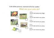 English Worksheet: What can they do?