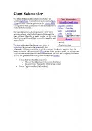English Worksheet: giant salamander
