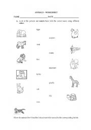 English Worksheet: ANIMALS - WORKSHEET