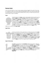 English worksheet: The Human Body