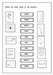 Match the words  to the pictures