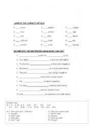 English worksheet: grammar a / an article & have / has got