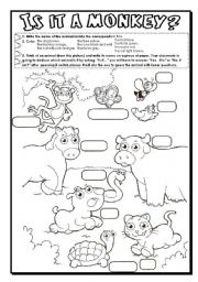 English Worksheet: Is it a monkey?