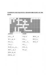 English worksheet: CROSSWORD -  PARTS OF THE BODY