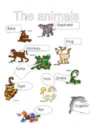 English worksheet: The animals