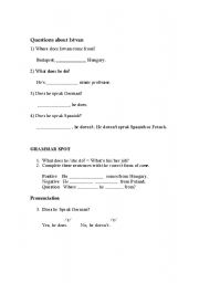 English worksheet: Questions and Negatives Elementary