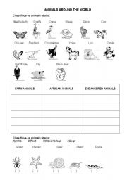 English worksheet: Animals Around The World