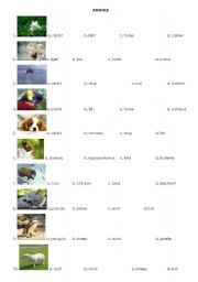 English worksheet: animals