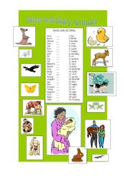 English Worksheet: Baby and mom Animals