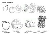 English Worksheet: Fruit - match and colour 