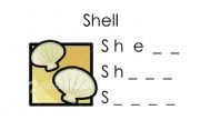 English worksheet: SHELL