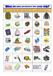 English Worksheet: Travel items