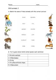English worksheet: Wild animals 3