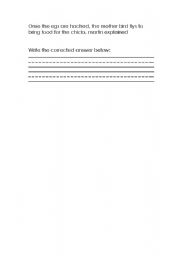 English Worksheet: Editing