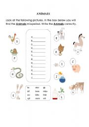 English Worksheet: Animals - spelling