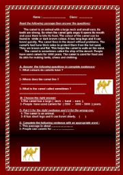 English Worksheet: Camels
