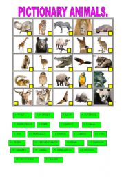 English Worksheet: PICTIONARY ANIMALS