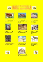 English Worksheet: BABY ANIMALS