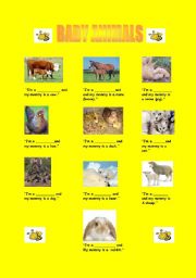 English worksheet: BABY ANIMALS