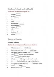 English worksheet: Family opposites and possessives