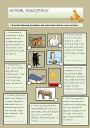 English Worksheet: ANIMAL DESCRIPTION