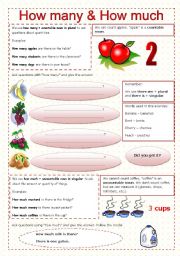 English Worksheet: How many & how much