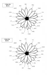 English Worksheet: color the flowers