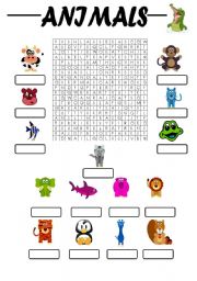 English Worksheet: Animals - WORD SEARCH