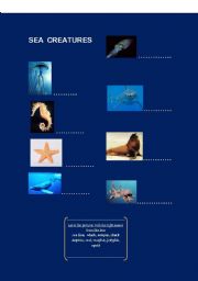 English worksheet: Sea creatures