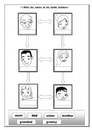 English Worksheet: family