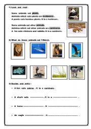 English worksheet: Carnivorous and herbivorous animals