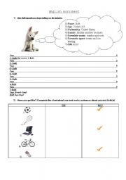 English worksheet: Personal Informacion