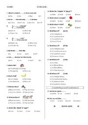 English Worksheet: A mini Grammar Test